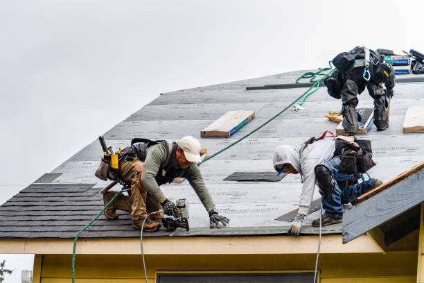 Professional Roofing technician working in Hustle, VA